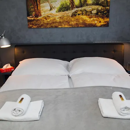 住宿加早餐酒店 Than 4*