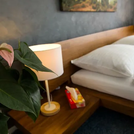 Than 住宿加早餐酒店 4*