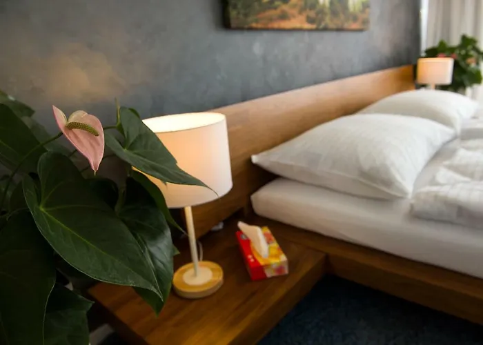 Than Bed & Breakfast 4*